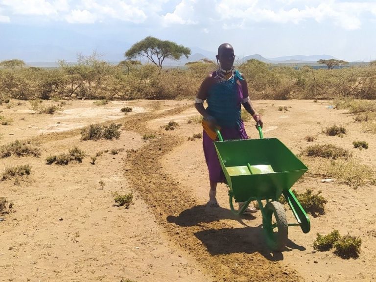 environmental and agriculture (2)