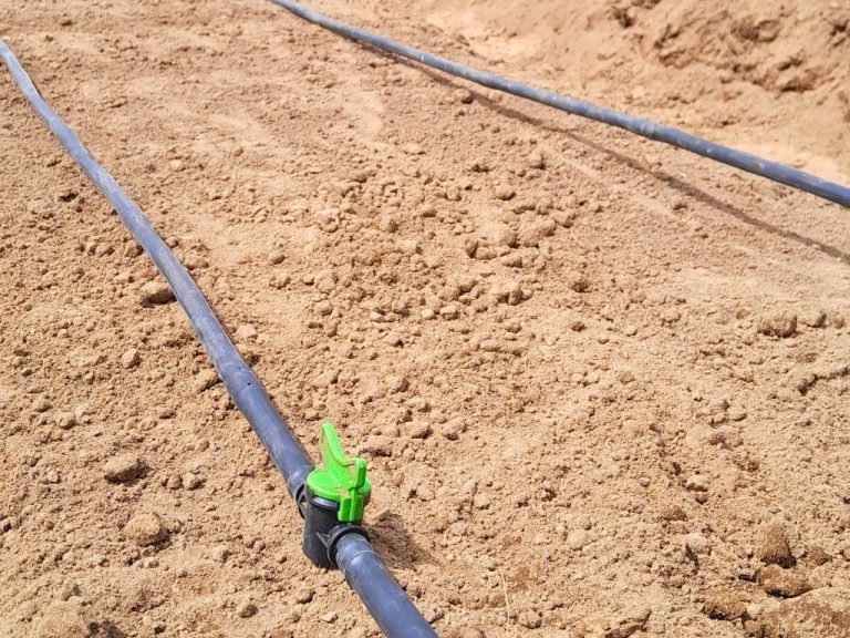 environmental and agriculture (5)