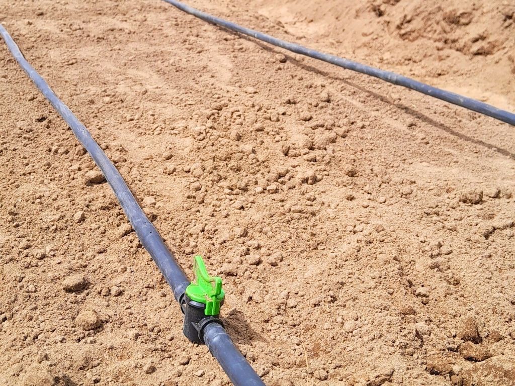 environmental and agriculture (5)