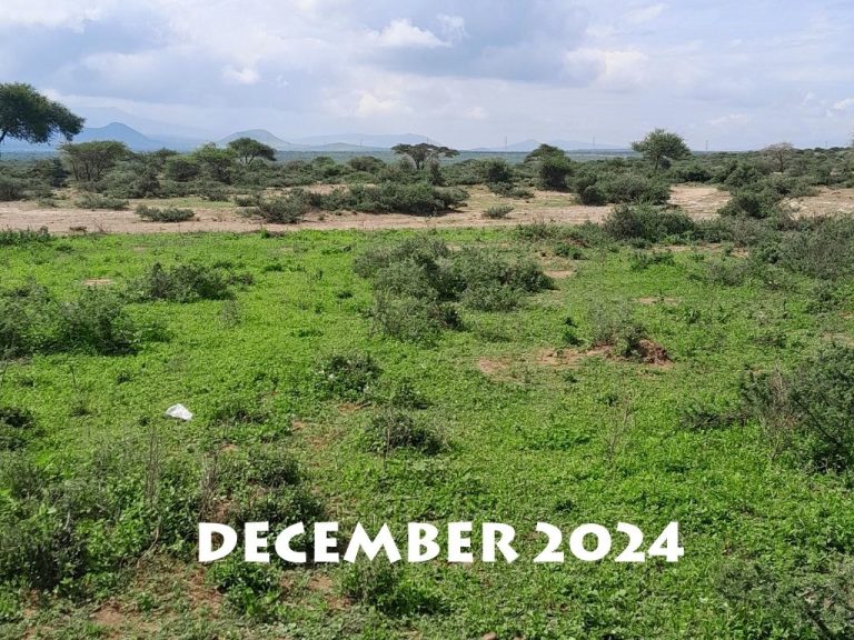 environmental and agriculture (6)