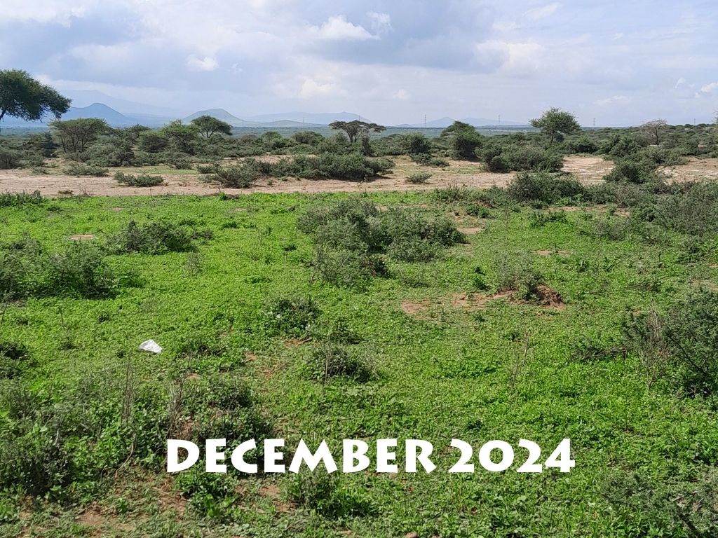 environmental and agriculture (6)