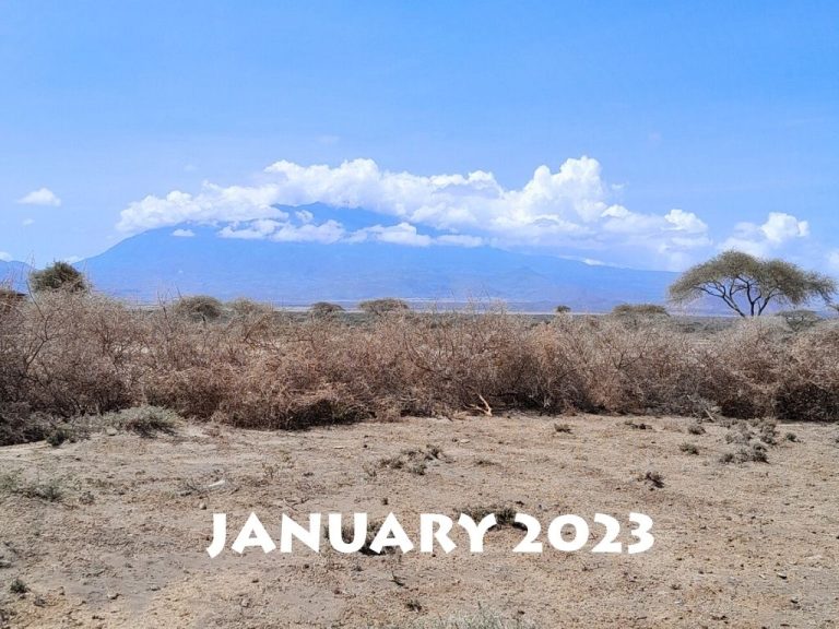 environmental and agriculture (7)