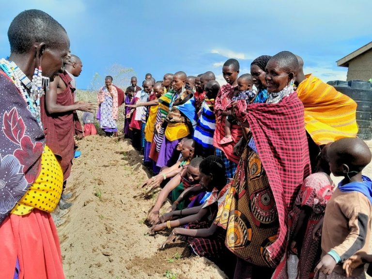 environmental and agriculture (9)