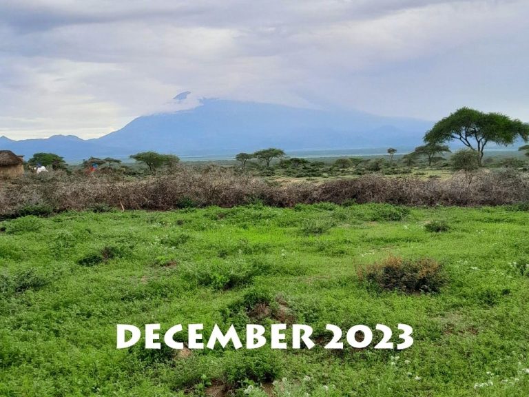 venvironmental and agriculture