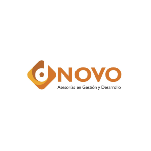 consultora dnovo proyectos internacionales desarrollo local