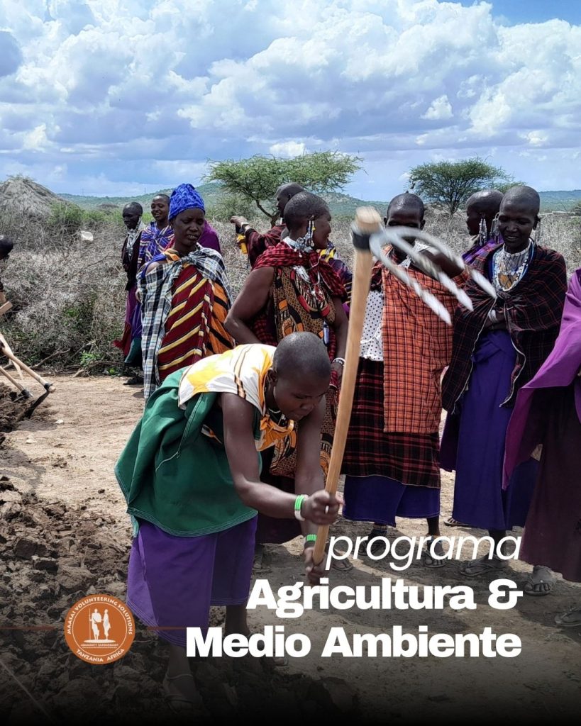 programa de voluntariado de verano en medio ambiente y agricutlura regenerativa