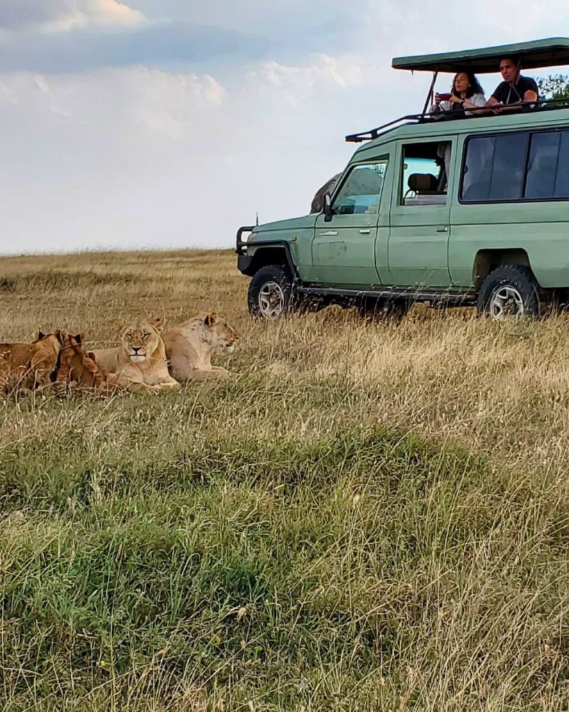 Volunteer safari experience in northern Tanzania, exploring wildlife and natural landscapes during a cultural immersion and volunteer program in Africa.