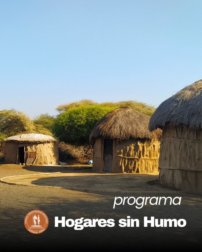 programa de voluntariado de verano en hogares libres de humos salud
